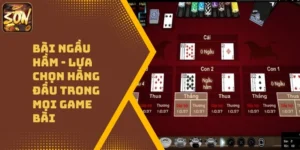 Bài Ngầu Hầm – Lựa Chọn Hàng Đầu Trong Mọi Game Bài