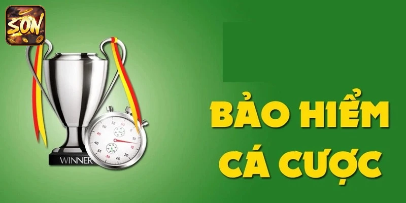 bao-hiem-ca-cuoc-giam-thieu-tai-chinh
